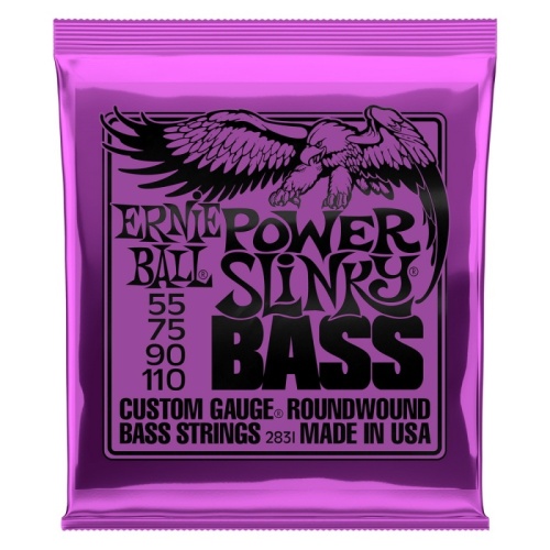 Ernie Ball 2831