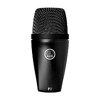 AKG P2