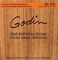 Godin 009336 A6 MD